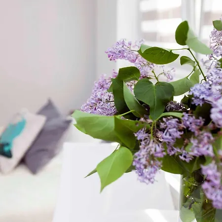 The Charm Of Ozas Apartman Vilnius